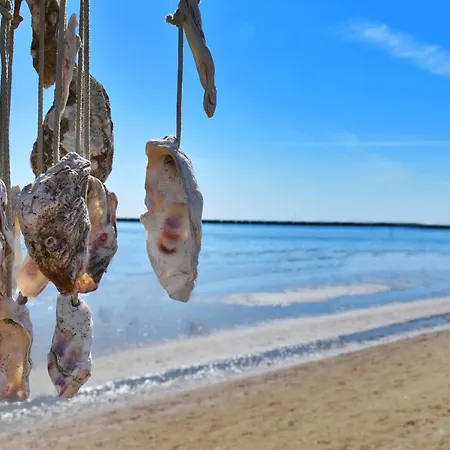 Urbinati Bellaria-Igea Marina