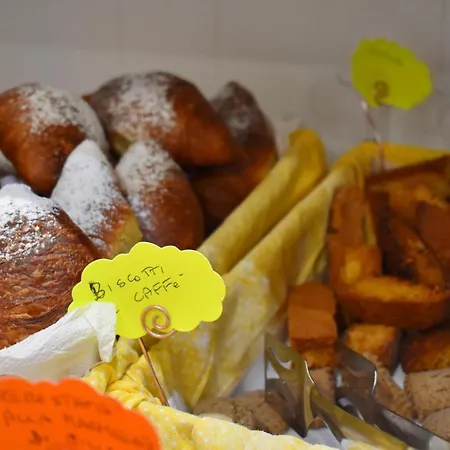 Urbinati 벨레지아아지마리나