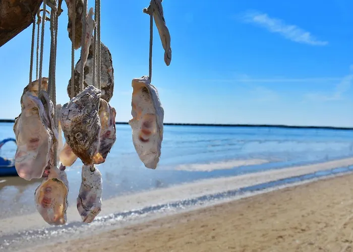 Urbinati Bellaria-Igea Marina